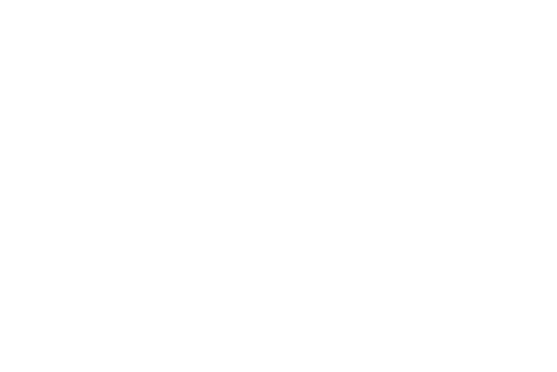 Logo 9