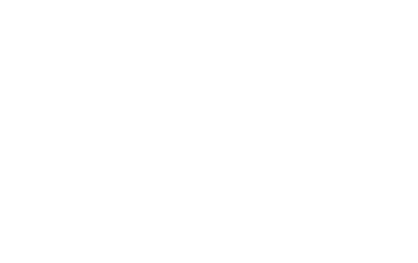 Logo 6